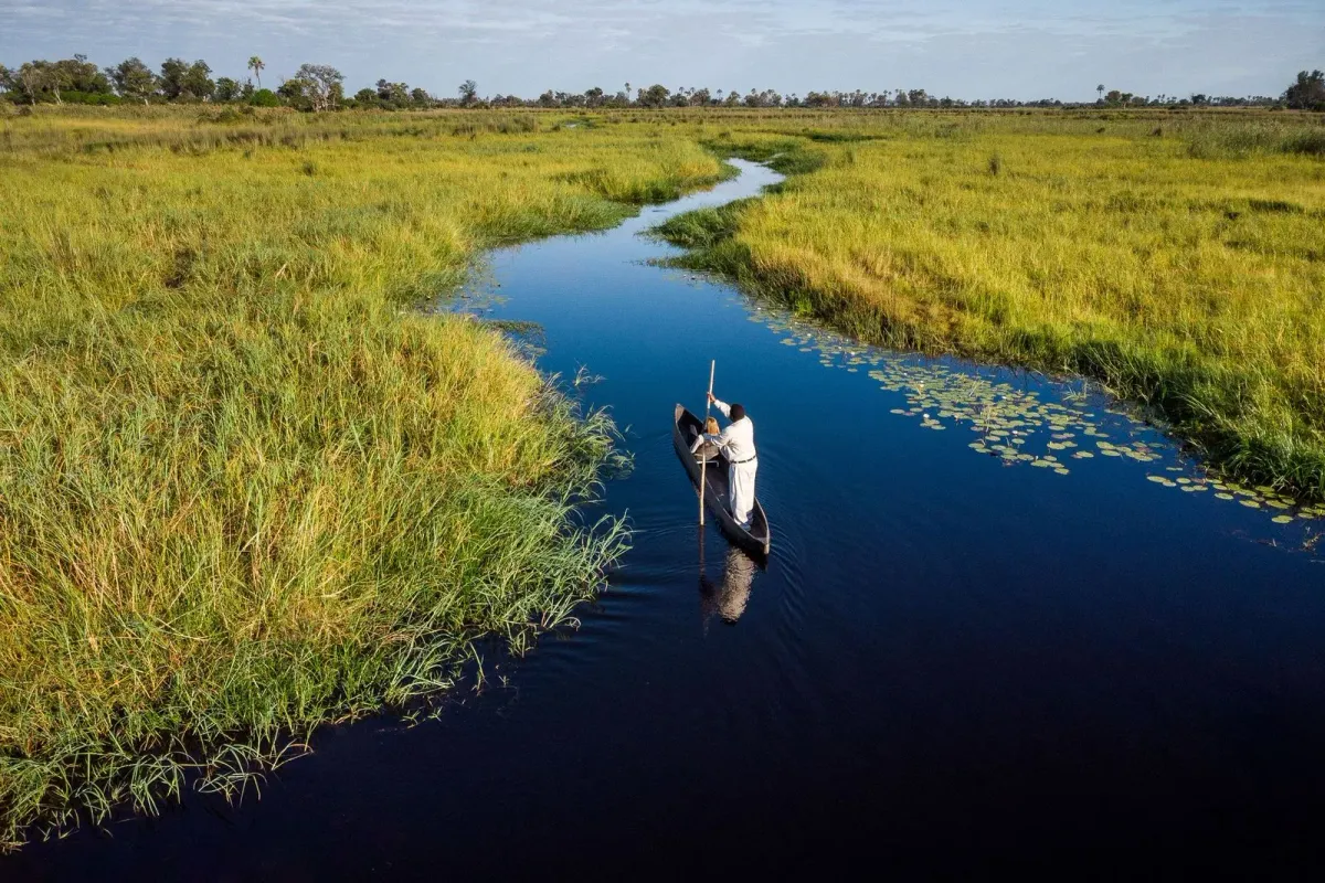 Okavango Delta Lodges