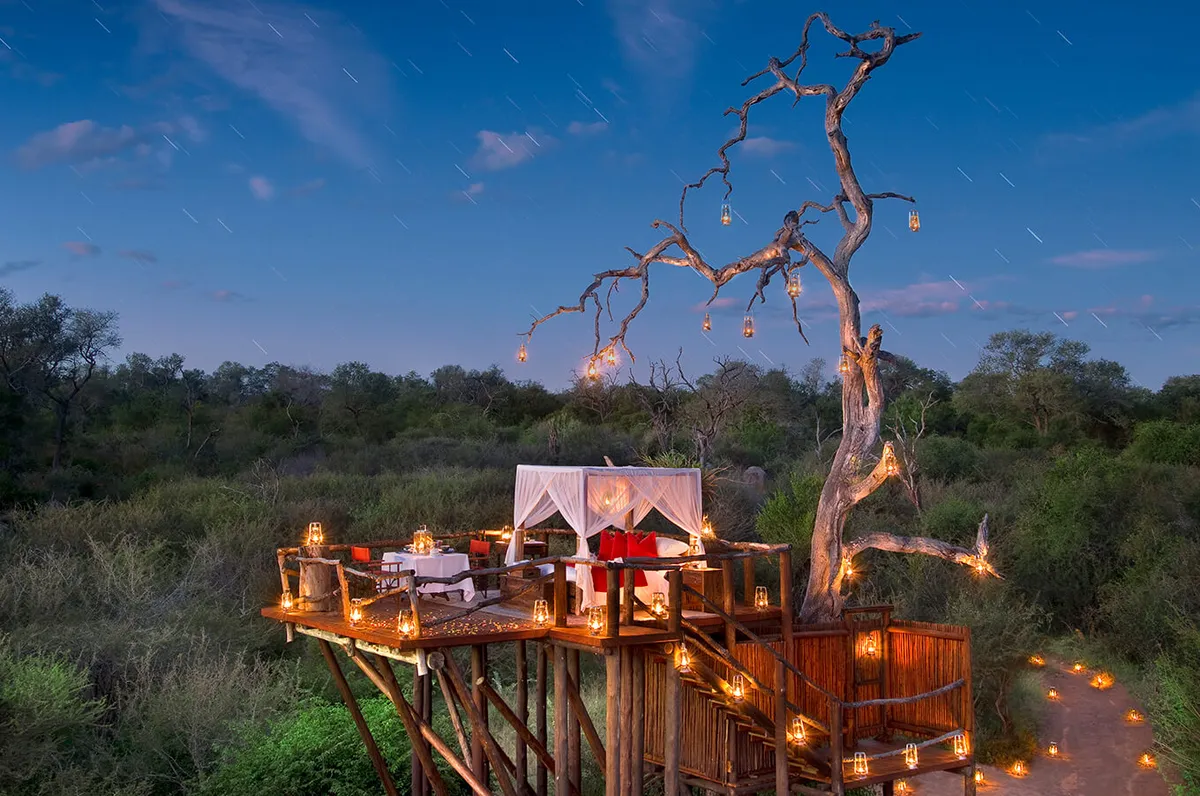 Sleep Under a Canopy of Stars